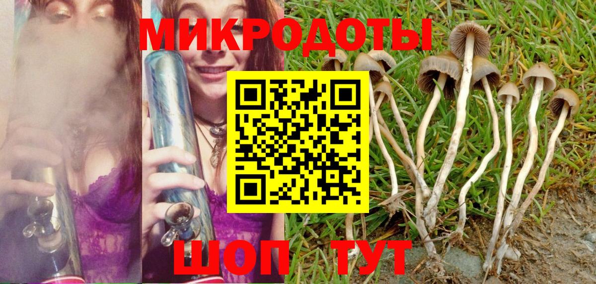 Галлюциногенные грибы Psilocybe Джанкой