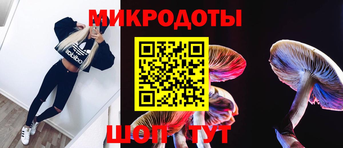 Псилоцибиновые грибы MAGIC MUSHROOMS  купить  цена  Джанкой  Вход с VPN 